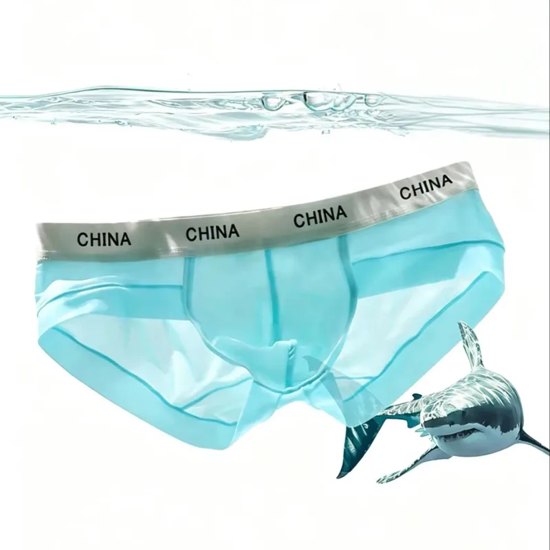Men Ice Silk Briefs Ultra Thin Breathable See Through Underwear Soft Wide Waistband Summer Cool Comfort Panties Random Color 1pc