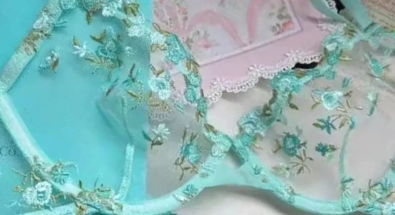 European Women Alluring Sheer Lace Embroidery Underwire Bra Big Bust Support Minimize Anti‑Sagging Soft Lingerie S‑XL Bra Set