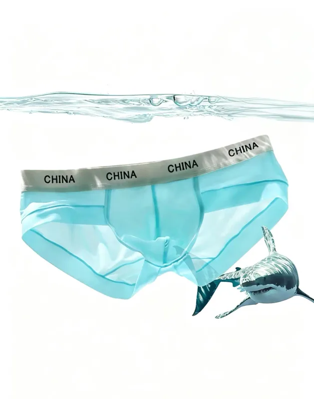 Men Ice Silk Briefs Ultra Thin Breathable See Through Underwear Soft Wide Waistband Summer Cool Comfort Panties Random Color 1pc