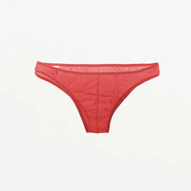 Mens Underwear Men's Fashionable Breathable Triangle Underwear, Mesh Transparent Comfortable Sexy Men's Underwear Men Briefs YW