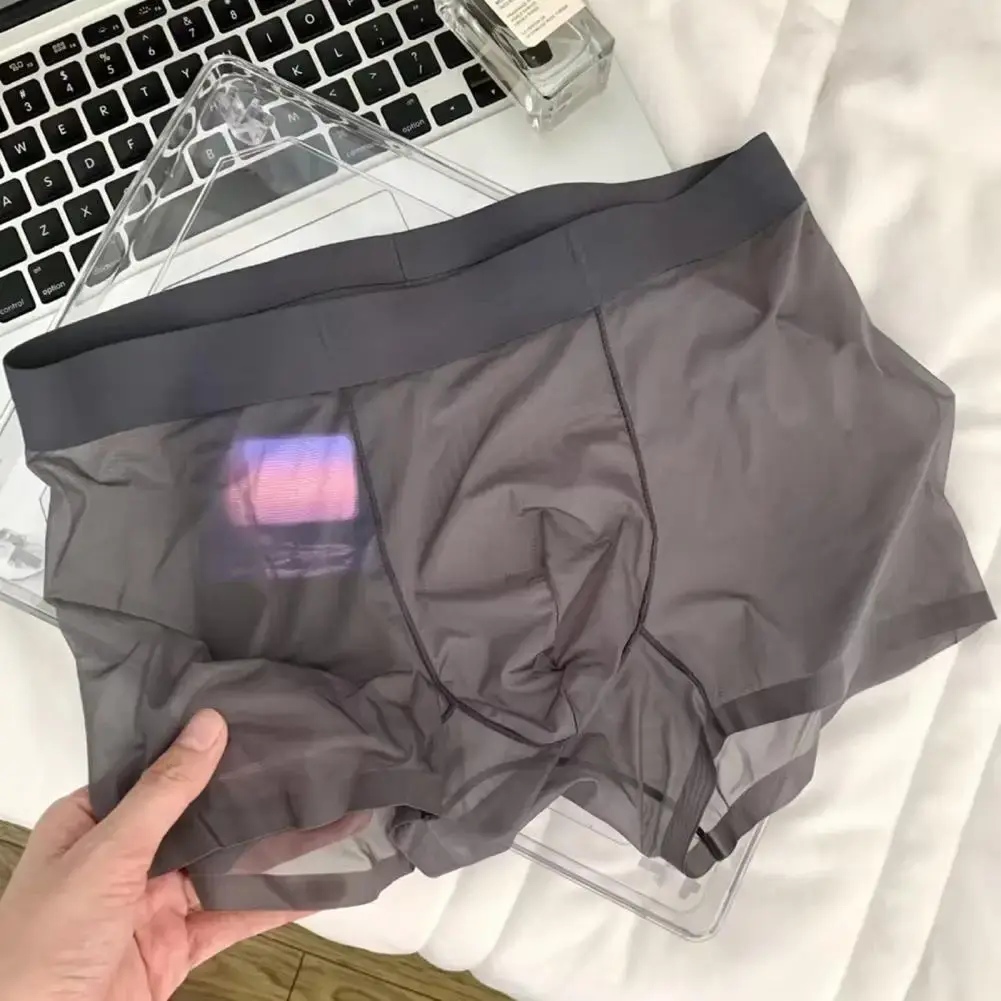 Men Boxer Transparent Lightweight Men Underwear Elastic Mid-Waist U-Convex Thin Perspective Shorts Briefs Seamless Panties