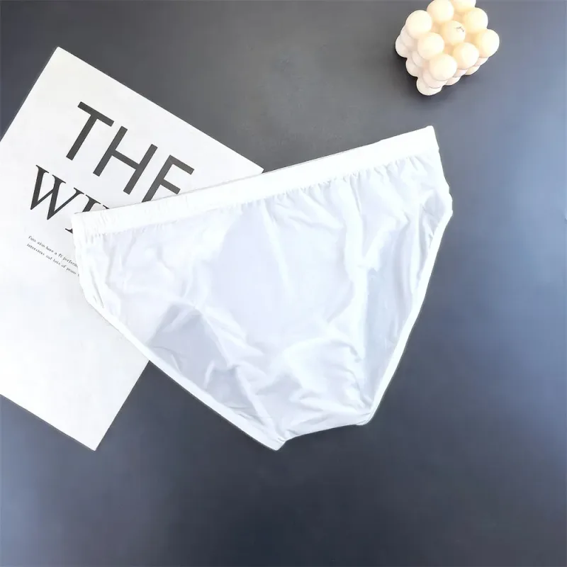 Business Men Ice Silk Briefs Quick Dry Seamless Nylon Male U Pouch Convex Underwear Sexy Plus Size Underpants Lingerie