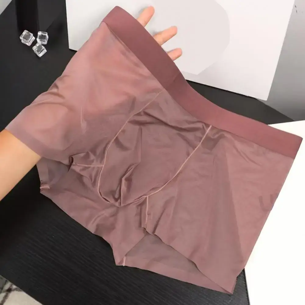 Men Boxer Transparent Lightweight Men Underwear Elastic Mid-Waist U-Convex Thin Perspective Shorts Briefs Seamless Panties