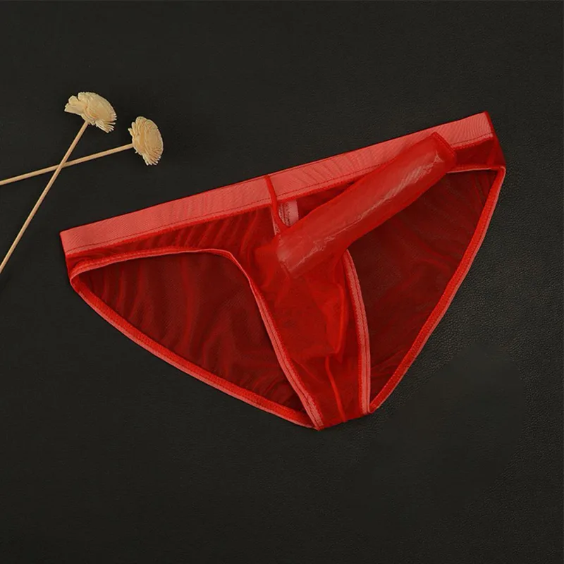 Men Underwear Mesh Transparent Elephant Nose Briefs Thin Lightweight Quick Dry Low Waist Breathable Underpants — image 10
