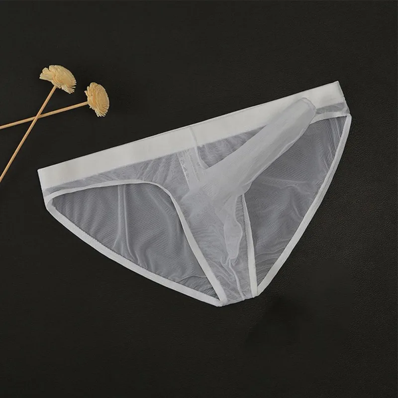 Men Underwear Mesh Transparent Elephant Nose Briefs Thin Lightweight Quick Dry Low Waist Breathable Underpants