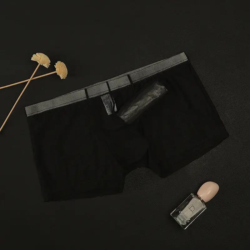 Erotic Men's Boxy Underwear Gays Sexy Low Waist Elephant Nose Boxer Shorts Thin Mesh Transparent Breathable Lightweight Panties