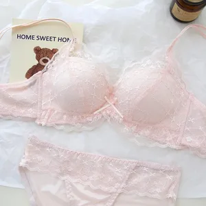 Sweet Sheer Lace Lingerie Set Double Straps Wireless Bra for Small Bust Lift & Gather