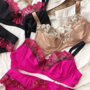 French Lace Flowers Embroidery Bra Set for Women Ultra Thin Lingerie Sexy Underwire Push Up Bras Plus Size BCDEFG Cup Underwear