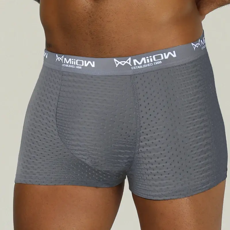 MiiOW – Boxer Sexy pour hommes, sous-vêtements en maille respirante en soie glacée, culotte masculine, Lingerie, caleçon, grande taille L-4XL 2022 — image 12