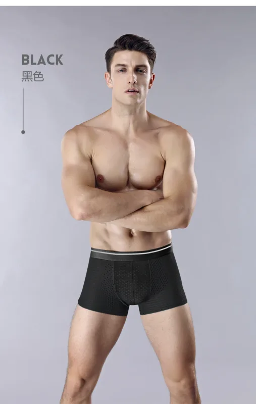 8pcs/Lot Men's Panties Ice Silk Male Underpants Breathable Summer Man Shorts Boxers Underwear Homme Bamboo Hole Large Size L-5XL