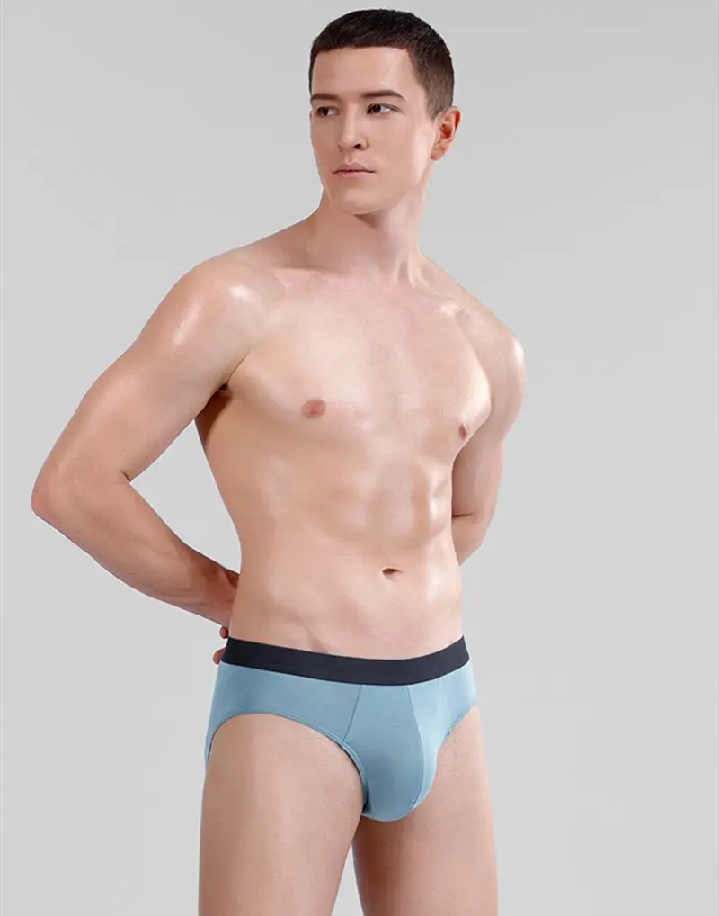 Men's Briefs Soft 60S Modal Male Panties Cozy Elastic Male Underpants Shorts 7A Grade Antibacterial Crotch Mens Sexy Underwear — image 12