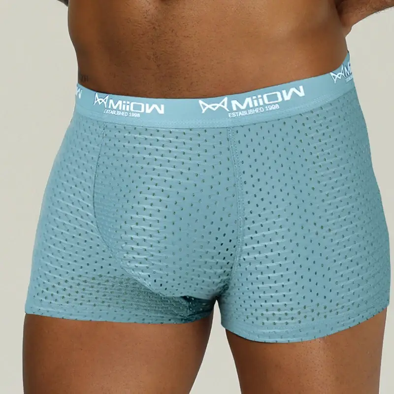 MiiOW – Boxer Sexy pour hommes, sous-vêtements en maille respirante en soie glacée, culotte masculine, Lingerie, caleçon, grande taille L-4XL 2022 — image 7