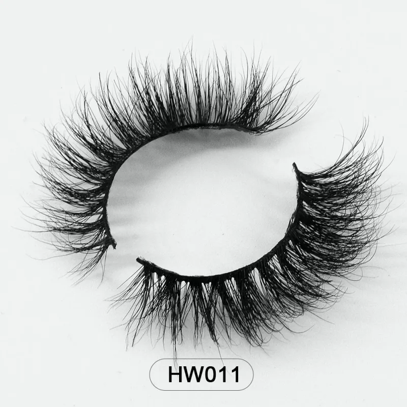 HW011