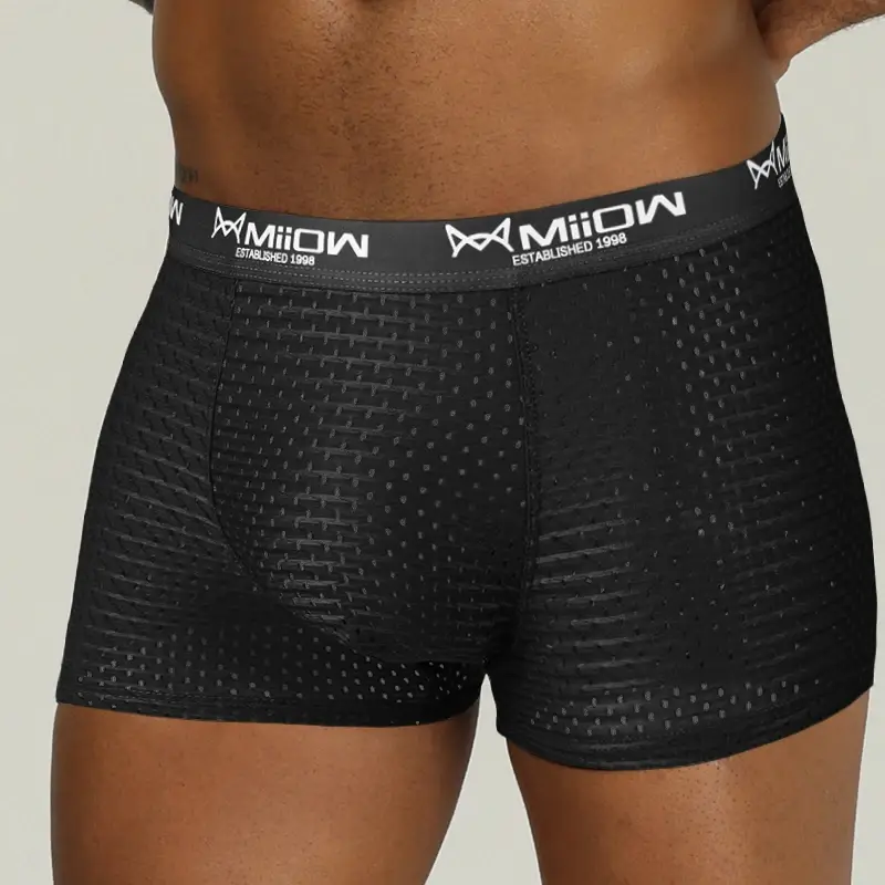MiiOW – Boxer Sexy pour hommes, sous-vêtements en maille respirante en soie glacée, culotte masculine, Lingerie, caleçon, grande taille L-4XL 2022 — image 9