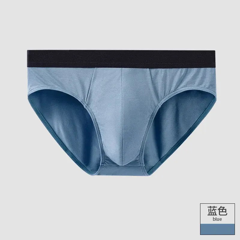 Men's Briefs Soft 60S Modal Male Panties Cozy Elastic Male Underpants Shorts 7A Grade Antibacterial Crotch Mens Sexy Underwear — image 15