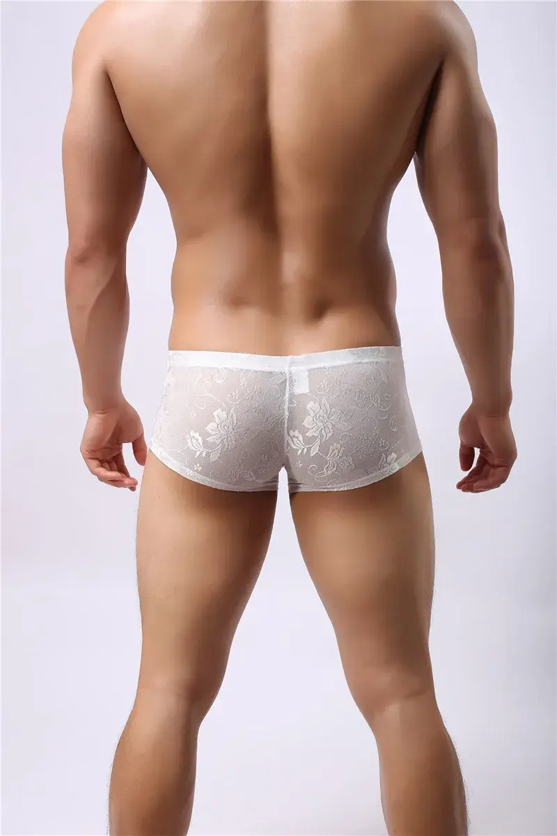 Sexy Mens Boxers Shorts Mesh Man Underwear Lingerie Trunk Transparent Mesh See Through Lace Underpants
