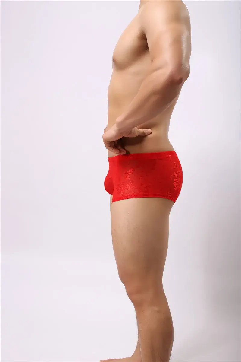 Sexy Mens Boxers Shorts Mesh Man Underwear Lingerie Trunk Transparent Mesh See Through Lace Underpants