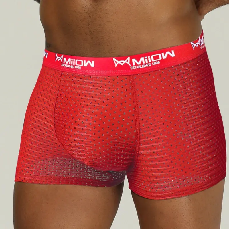 MiiOW – Boxer Sexy pour hommes, sous-vêtements en maille respirante en soie glacée, culotte masculine, Lingerie, caleçon, grande taille L-4XL 2022 — image 8
