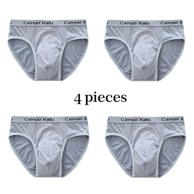 4Pcs Men Briefs Mens Summer Underwear Large Size L-5XL Elasticity Underwear Male Comfortable Panties Sexy Male Shorts Briefs Hot