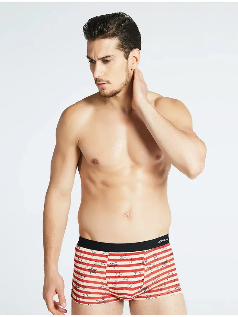 5Pcs/lot Men Underwear Cotton Boxer Men Underpants Comfortable Breathable Men's Panties Underwear Trunk Boxershorts Man Boxer — image 3