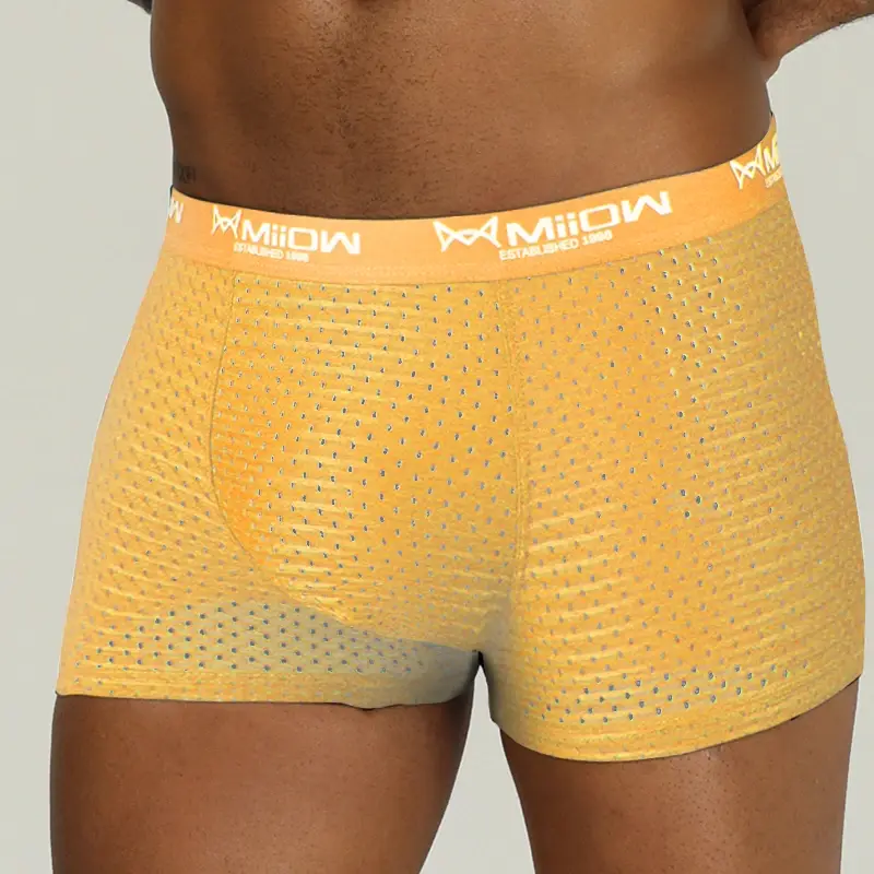 MiiOW – Boxer Sexy pour hommes, sous-vêtements en maille respirante en soie glacée, culotte masculine, Lingerie, caleçon, grande taille L-4XL 2022 — image 10