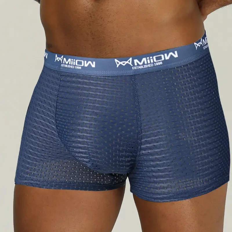MiiOW – Boxer Sexy pour hommes, sous-vêtements en maille respirante en soie glacée, culotte masculine, Lingerie, caleçon, grande taille L-4XL 2022 — image 11
