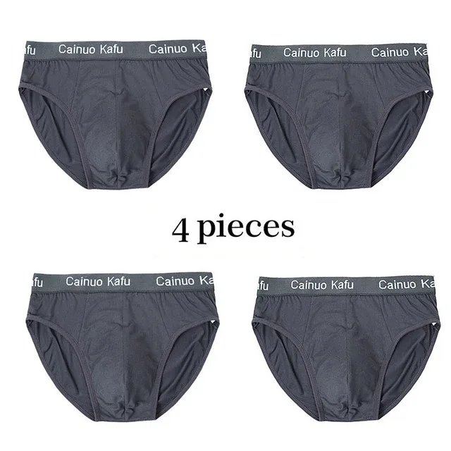 4Pcs Men Briefs Mens Summer Underwear Large Size L-5XL Elasticity Underwear Male Comfortable Panties Sexy Male Shorts Briefs Hot — image 26