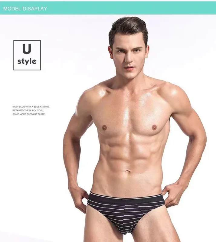 4Pcs/lot Cotton Briefs Men's Sexy Underwear Comfortable Underpants Breathable Panties Solid Shorts Male Lingerie Free Shipping — image 13