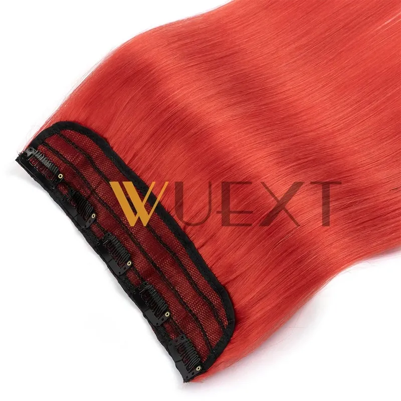 Light Weight Clip in Human Hair One Piece Fancy Colors 9 inches Width with 5 Clips Natural Straight Clip in Hairpiece 12''-20''