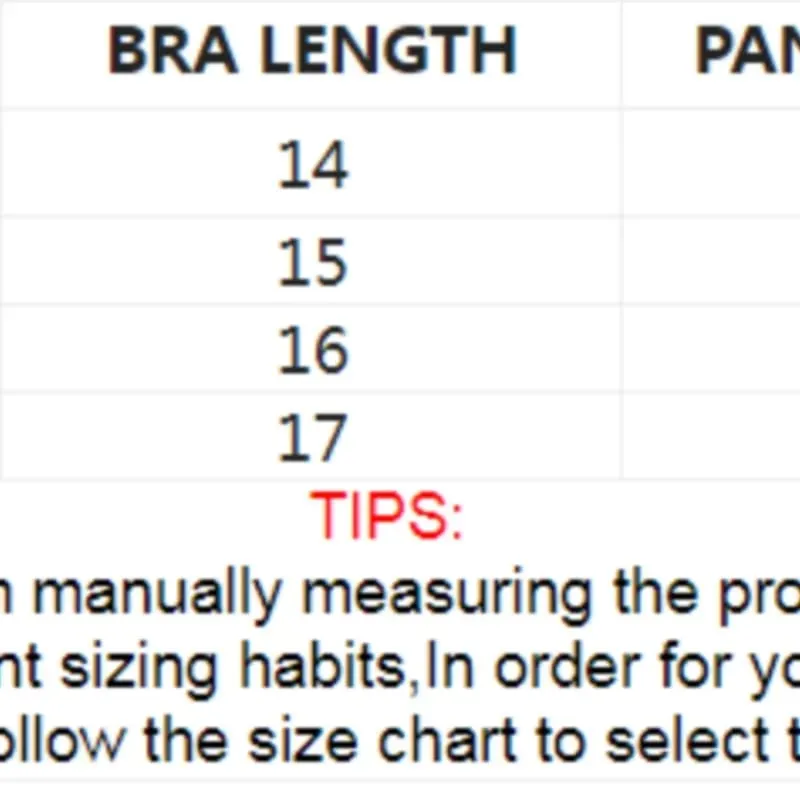 Exotic Fairy Lingerie PushUp Bra Embroidered Tulle Sheer Mesh 3Piece Transparent Intimate Wear for Women — image 6