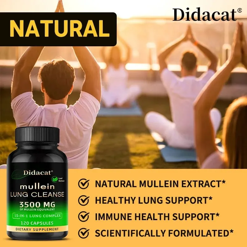 Mullein Leaf Extract Supplement Vitamin C Mineral Lung Cleansing Immune System Support 120 Capsules Health Supplement — image 3