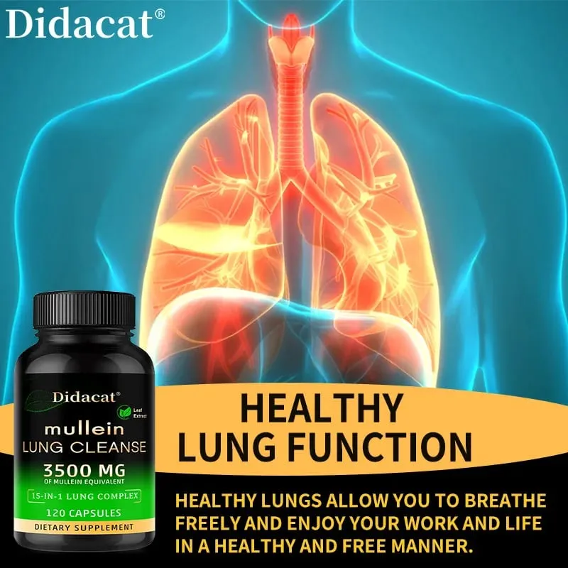 Mullein Leaf Extract Supplement Vitamin C Mineral Lung Cleansing Immune System Support 120 Capsules Health Supplement — image 4