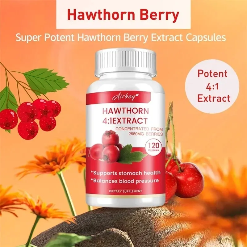 Hawthorn Berry Extract Capsule - Supports Digestive Health Promotes Energy Production Blood Circulation and Boosts Immunity — image 4