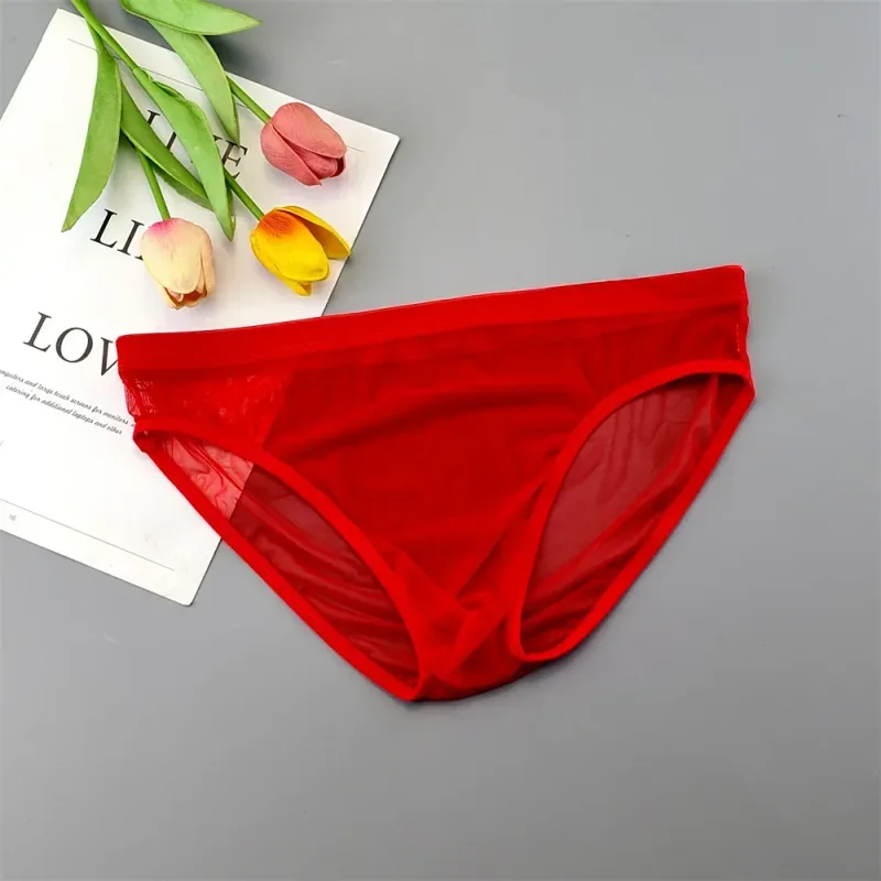 Pakaian Dalam Transparan Ukuran Plus Celana Dalam Seksi Tembus Pandang untuk Pria dengan Kantong Nilon Hombre Slip Celana Dalam Pria Sejuk XL-4XL — image 26