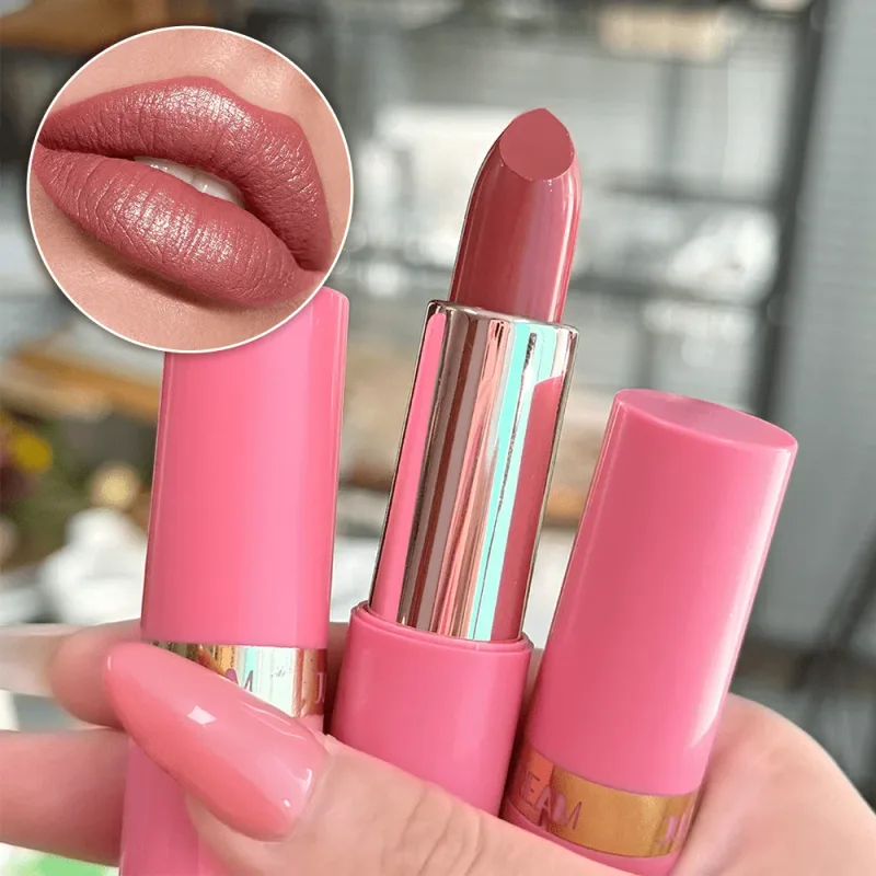 Matte Velvet Lipstick Waterproof Long Lasting Nude Pink Lip Makeup Moisturizing Lip Gloss — image 6