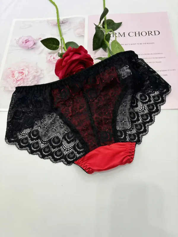 Sexy men underwear elasticity smooth underpants Transparent, breathable, Red lace Men's Briefs — image 5