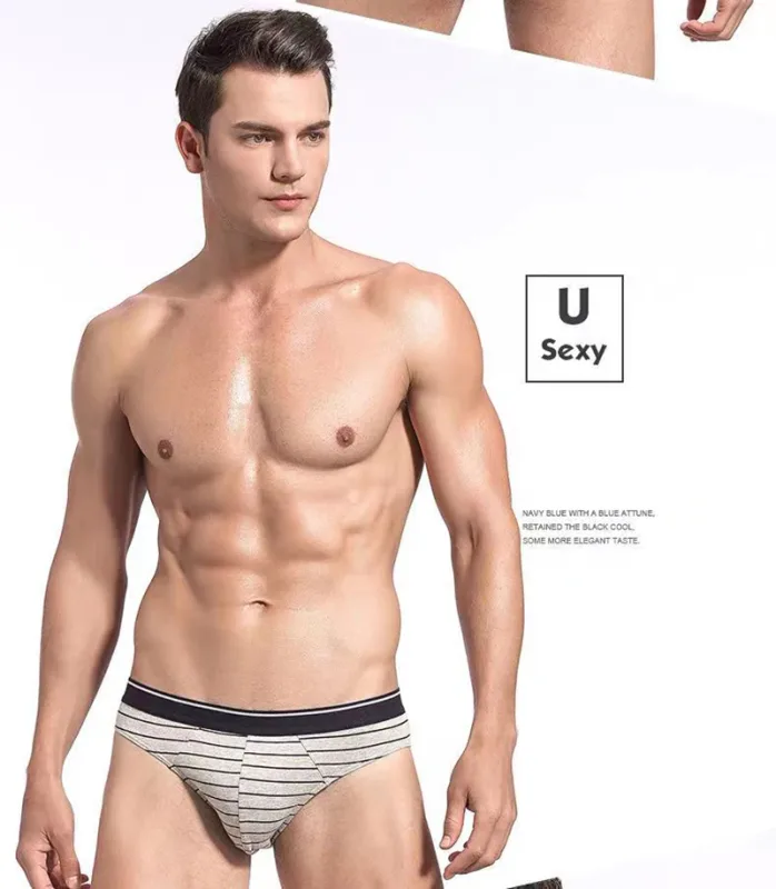 4Pcs/lot Cotton Briefs Men's Sexy Underwear Comfortable Underpants Breathable Panties Solid Shorts Male Lingerie Free Shipping — image 16
