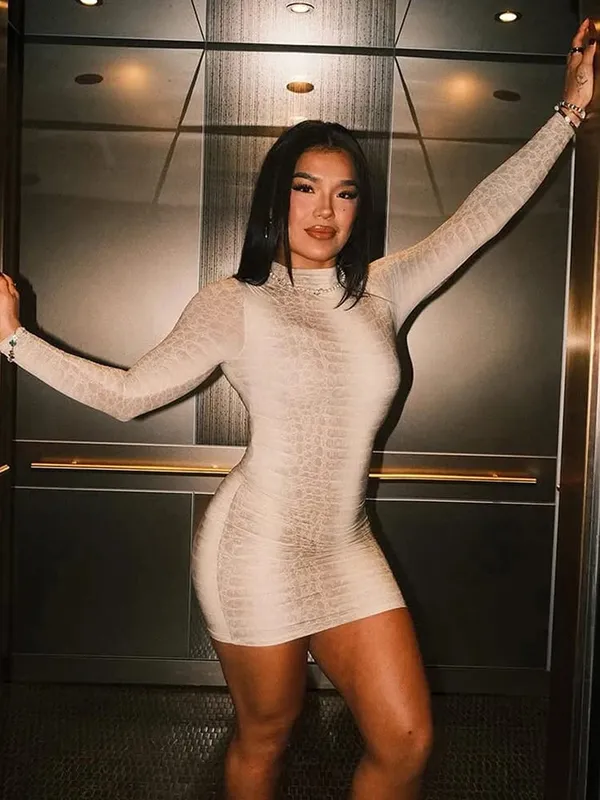 Garip Kedi Seksi Yılan Desen Elbise Kadın Kış Trendi Tam Kollu Seksi Sokak Gece Yarısı Etkinliği Streç Sıska Mini Bodycon — image 3