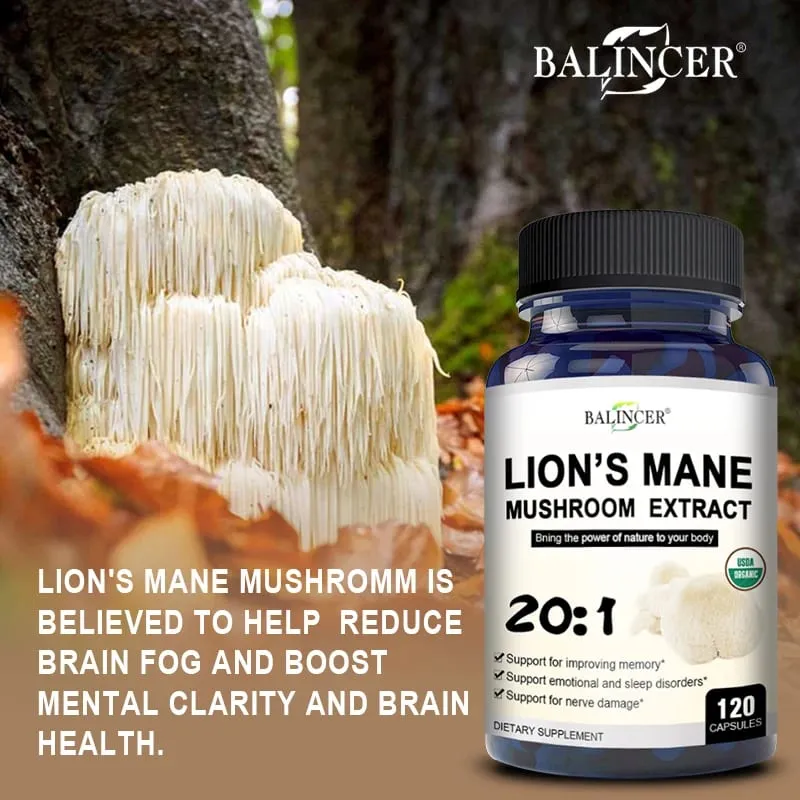 Organic Lion's Mane Capsules - Brain Mushroom Supplement for Focus and Immune Support Brain Health Memory and Energy — image 5