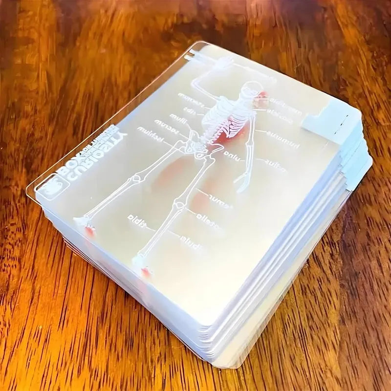 The Body Deck Mannequin Body Deck Skeleton Playing Cards Transparent Anatomy Poker Cards Skeletons X-Ray Designs EducationalGift