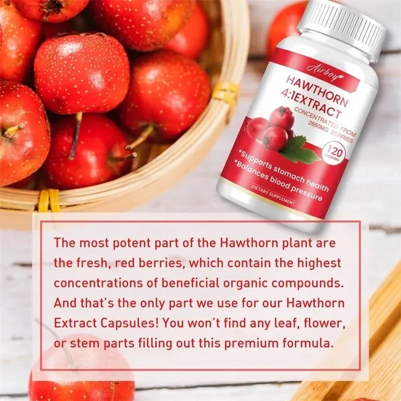 Hawthorn Berry Extract Capsule - Supports Digestive Health Promotes Energy Production Blood Circulation and Boosts Immunity — image 5