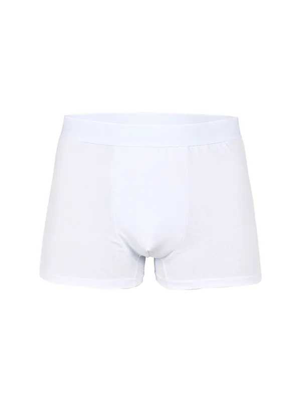 5pcs Pack White 2024 Men Panties Polyester Underwear Male Brand Boxer And Underpants For Homme Luxury Set Shorts Box Slip Kit — image 3