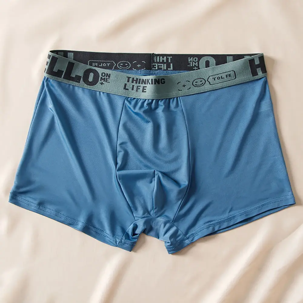5pcs/set Men Boxer Shorts Ice Silk Men's Underwear Summer Breathable Plus Size Underpants U Convex Lingerie Cool Sexy Panties — image 4