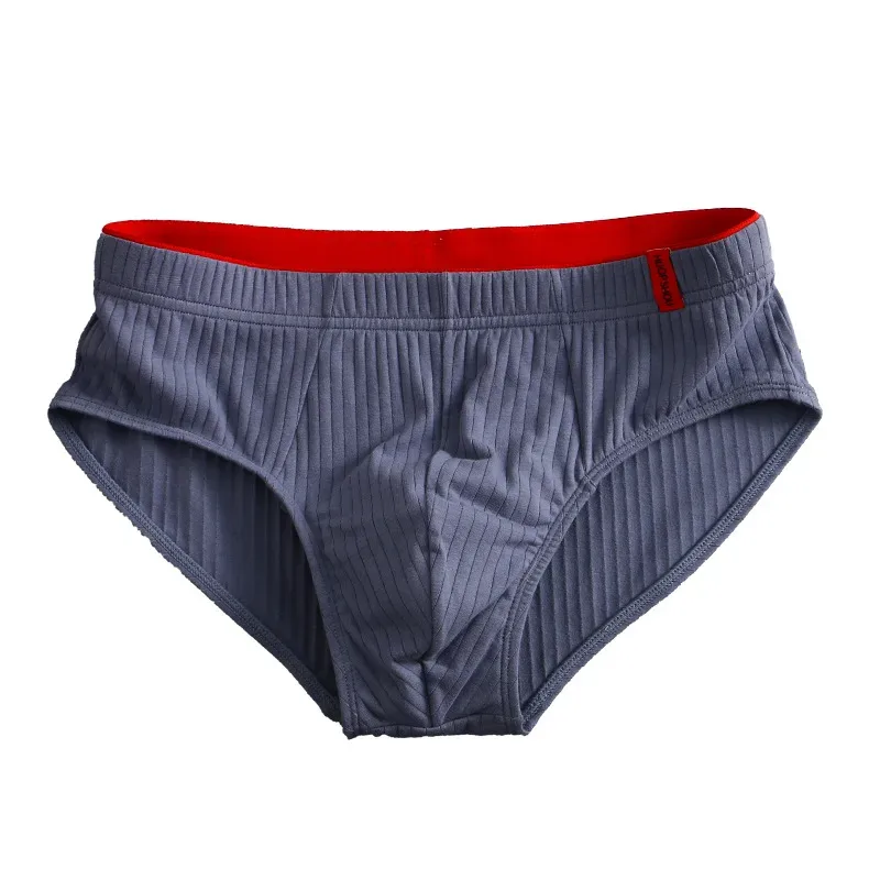 Brand New Cotton Striped Underwear Men Brief Mens Briefs Cueca Masculina Ropa Interior Hombre Calzoncillos M-3XL PC3220 — image 14