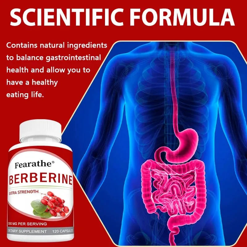 High-potency Berberine Supplement Antioxidant Supports Cardiovascular and Blood Sugar Health Gastrointestinal Health — image 4