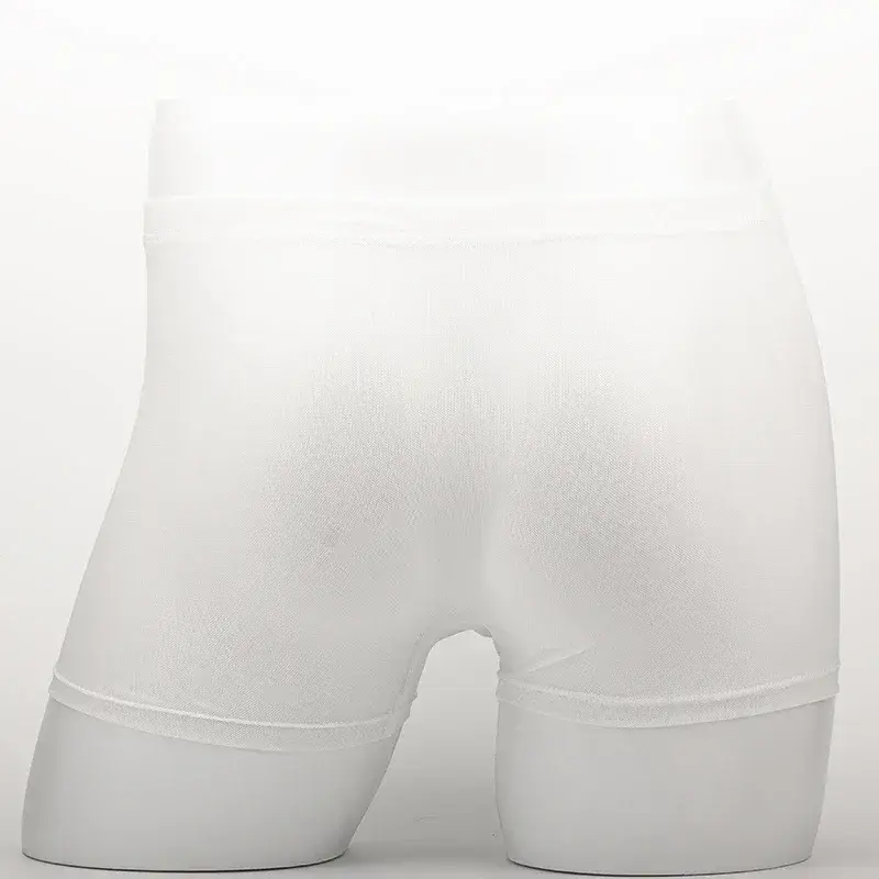 Men's Underwear Transparent Boxers Bulge Ice Silk See Through Underpants Sexy Briefs Low Waist Panties Lingerie Intimates 3256808377911341 — image 1