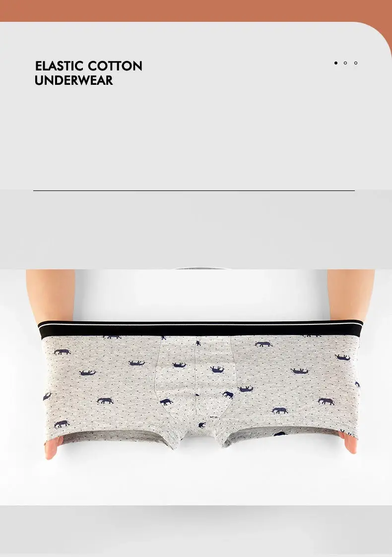 4Pcs/Lot Boxer Shorts Men Underwear Cotton Underpants Comfortable Breathable Male Trunk U Convex Print Panties High Quality — image 8
