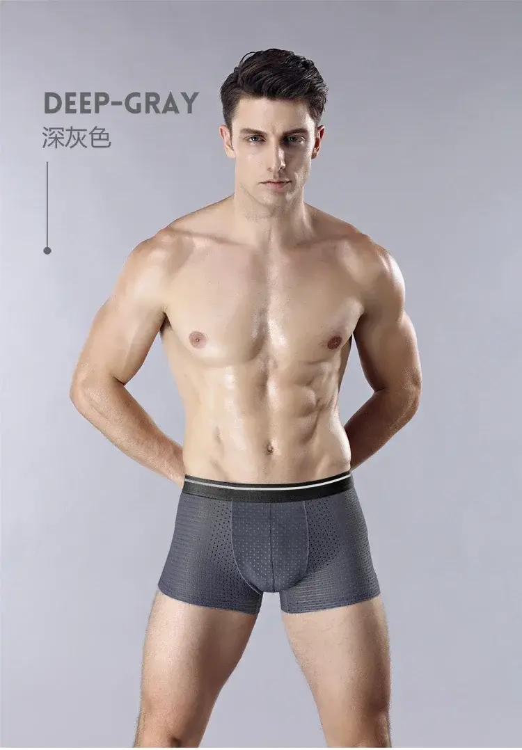 8Pcs/Lot Men's Underwear Ice Mesh Men's Shorts Sexy Underwear Breathable Soft Antibacterial Underwear for Men Plus Size L-6XL — image 12