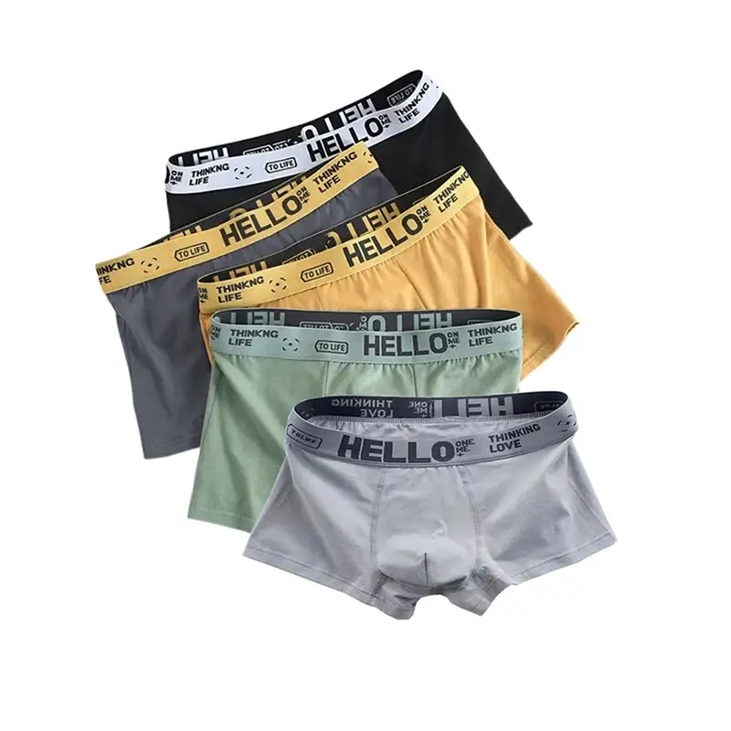5Pcs Mens Underwear Male Boxers Sexy Underpants Comfortable Breathable Fashion Boys Panties Underwear Boxershorts Men 3256805433924630 — image 10