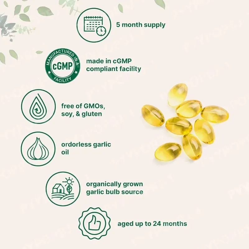 Geurloze knoflookoliecapsules 2 jaar oud knoflookextract Natuurlijke kruidensupplementen met gekweekte Allium Sativum-bol 300 softgels — image 4